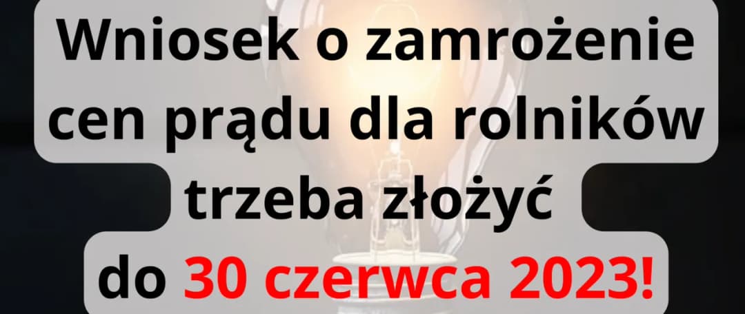 Zamrożenie cen prądu - do kiedy złożyć wniosek, aby skorzystać?